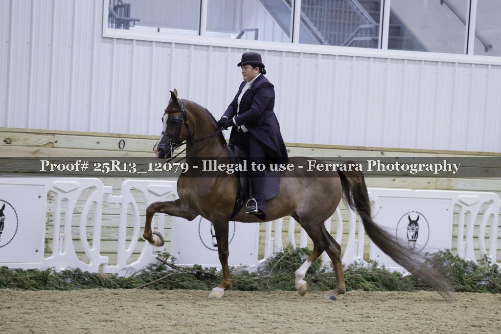 Proof Number 25R13_12079