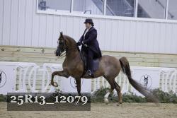 25R13_12079 thumbnail