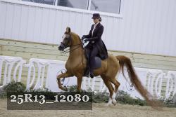 25R13_12080 thumbnail