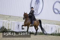 25R13_12081 thumbnail