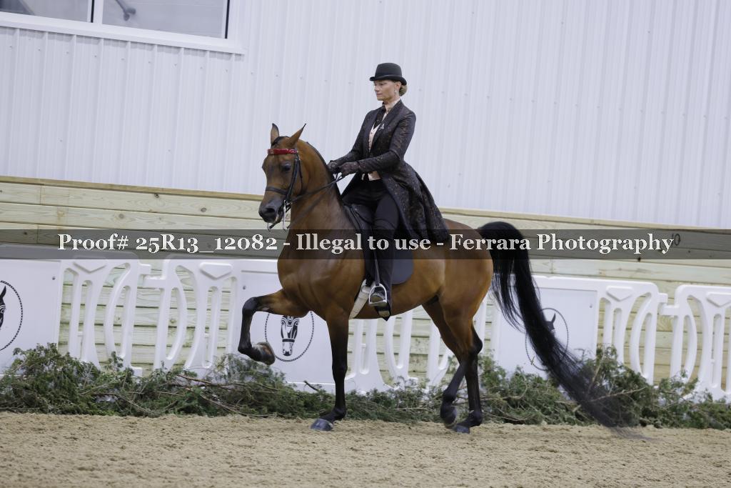 Proof Number 25R13_12082