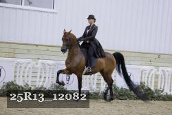 25R13_12082 thumbnail
