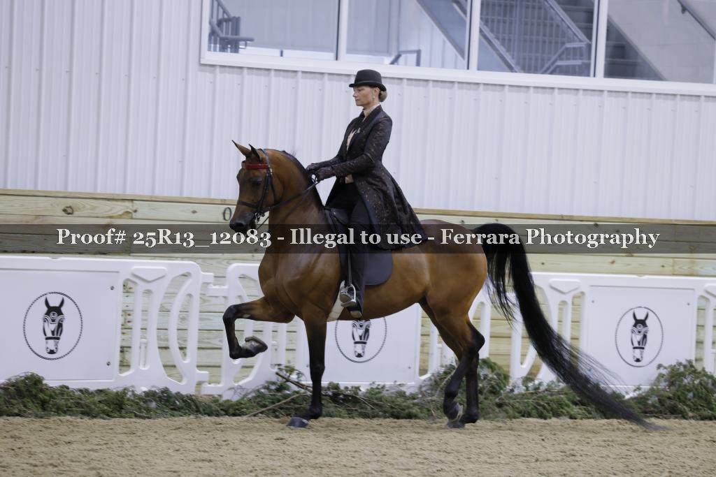 Proof Number 25R13_12083