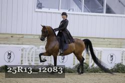 25R13_12083 thumbnail