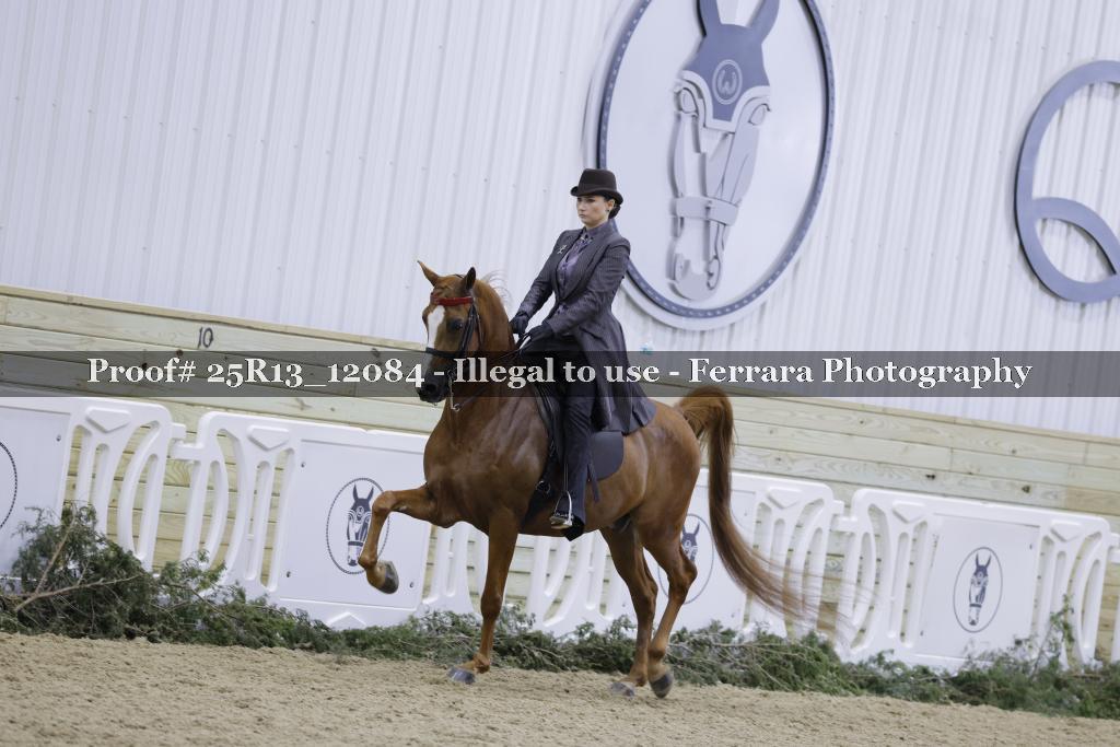 Proof Number 25R13_12084