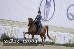 25R13_12084 thumbnail