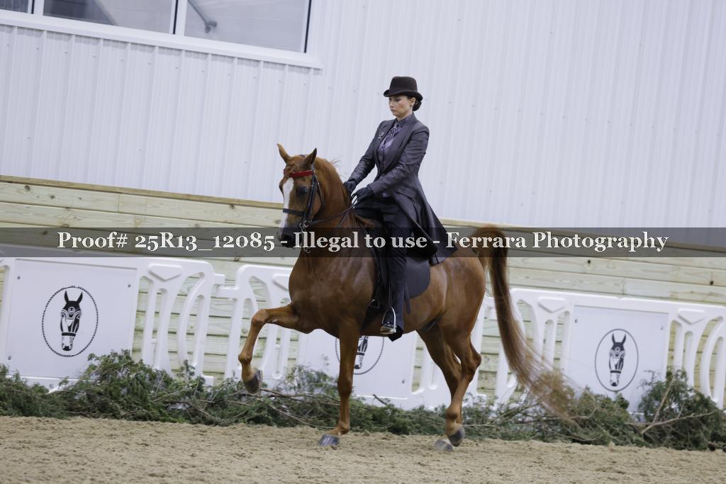 Proof Number 25R13_12085