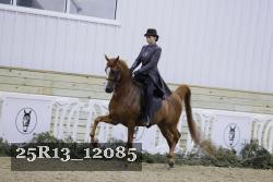 25R13_12085 thumbnail