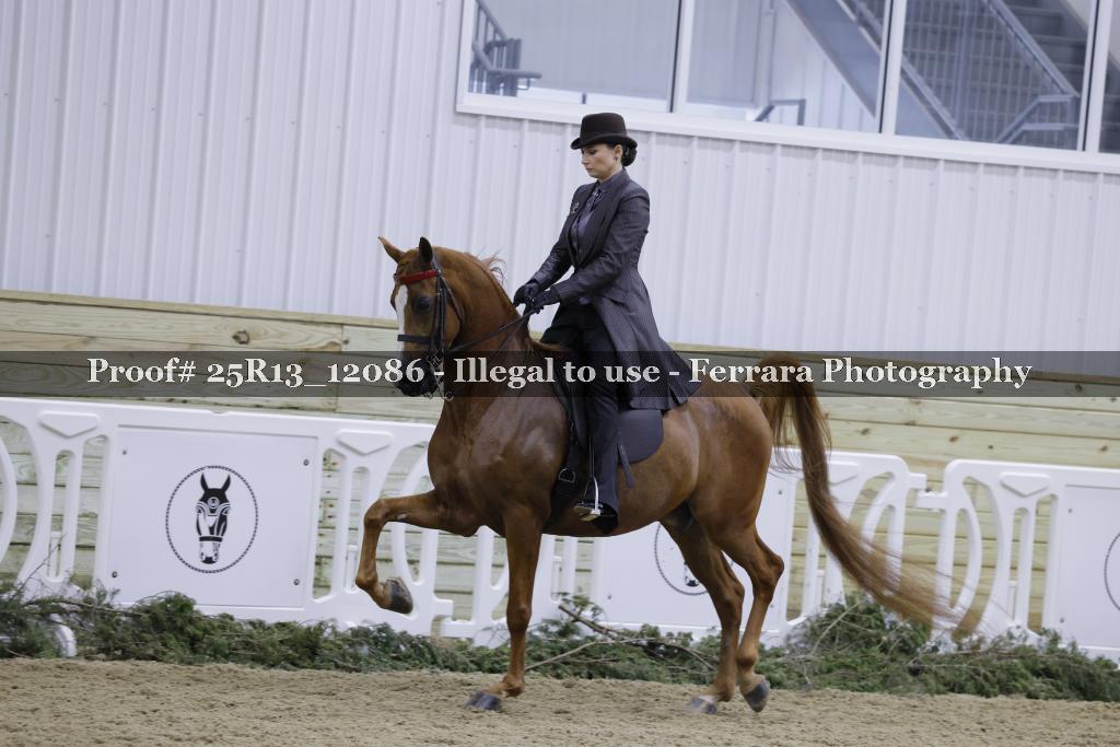 Proof Number 25R13_12086