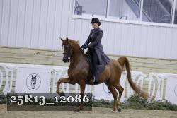 25R13_12086 thumbnail