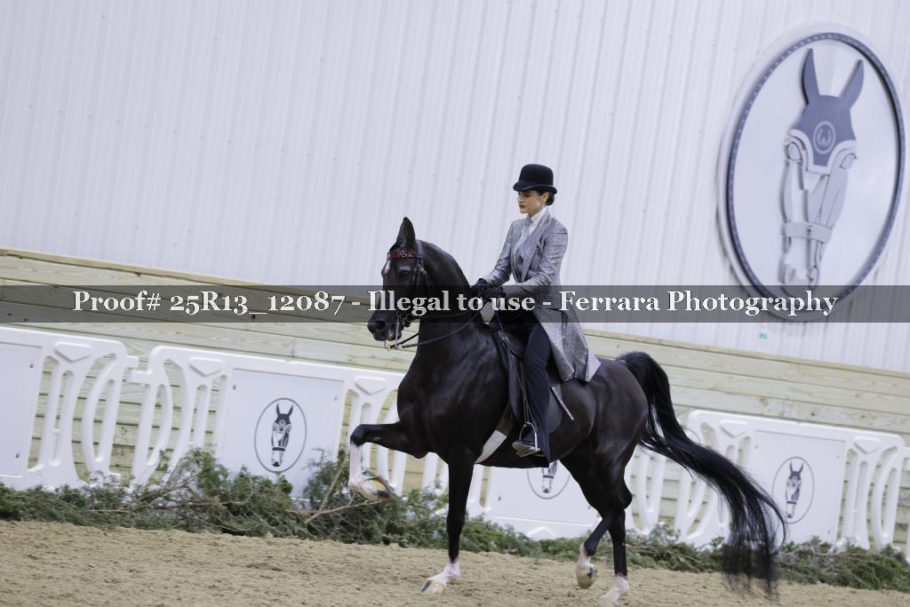 Proof Number 25R13_12087