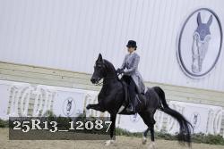 25R13_12087 thumbnail