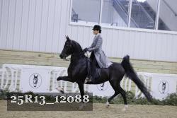 25R13_12088 thumbnail