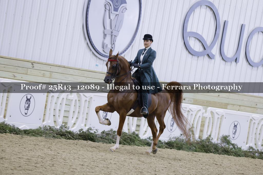 Proof Number 25R13_12089