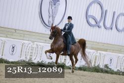 25R13_12089 thumbnail