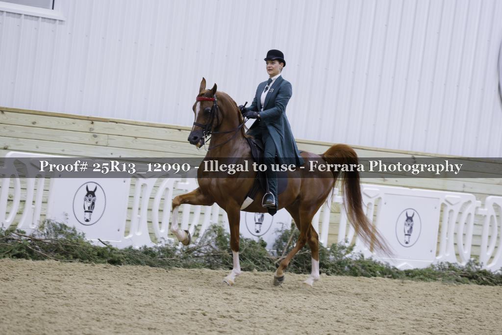 Proof Number 25R13_12090
