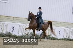 25R13_12090 thumbnail