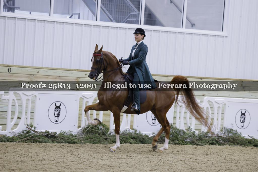 Proof Number 25R13_12091