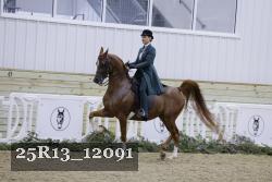 25R13_12091 thumbnail