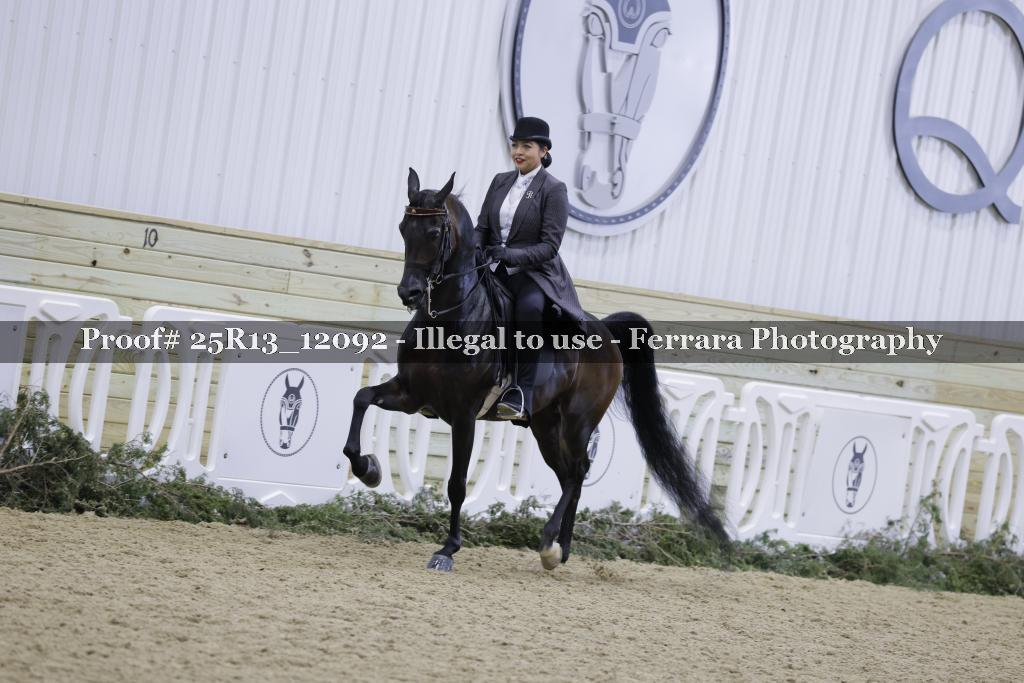 Proof Number 25R13_12092