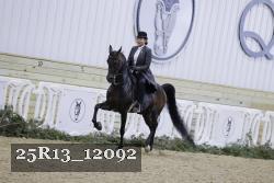 25R13_12092 thumbnail