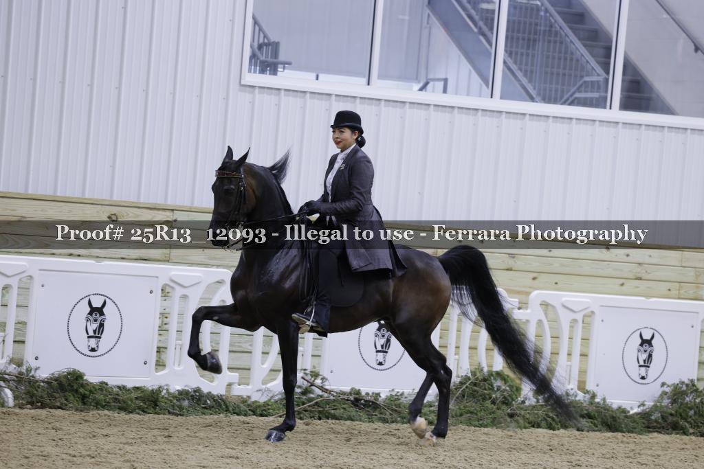 Proof Number 25R13_12093