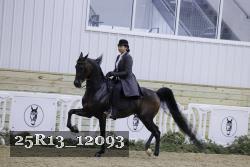 25R13_12093 thumbnail