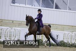 25R13_12094 thumbnail