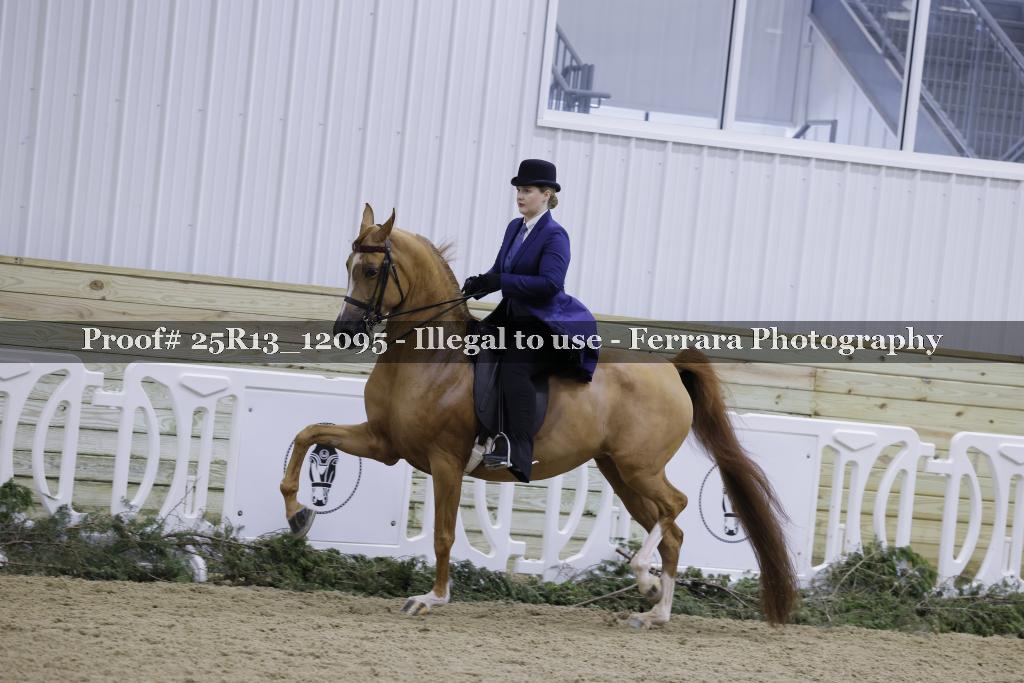 Proof Number 25R13_12095