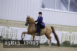 25R13_12095 thumbnail