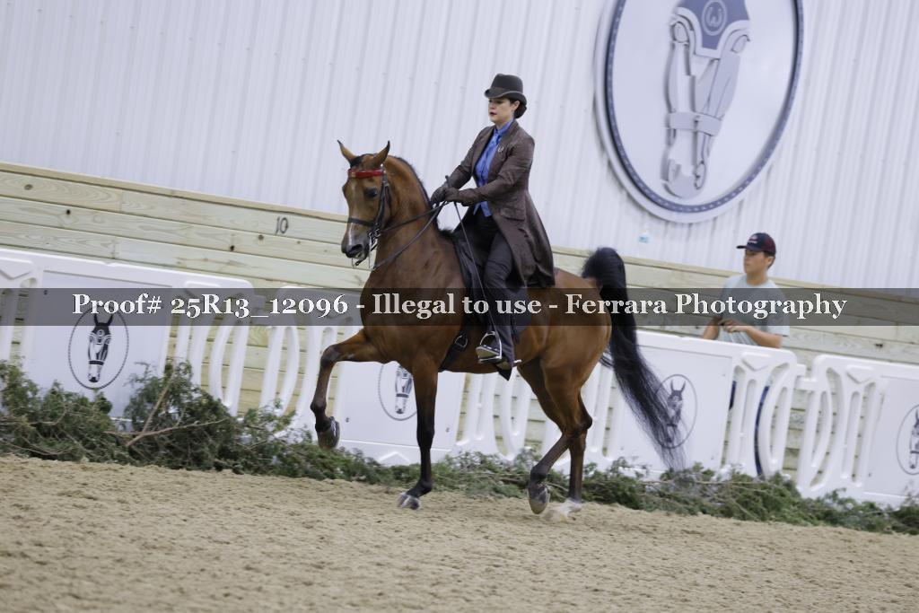Proof Number 25R13_12096