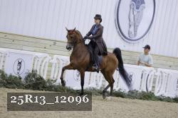 25R13_12096 thumbnail