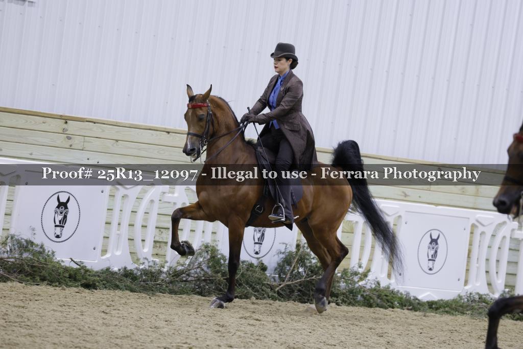 Proof Number 25R13_12097