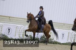 25R13_12097 thumbnail