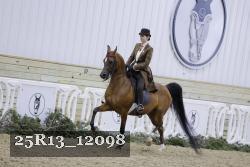 25R13_12098 thumbnail