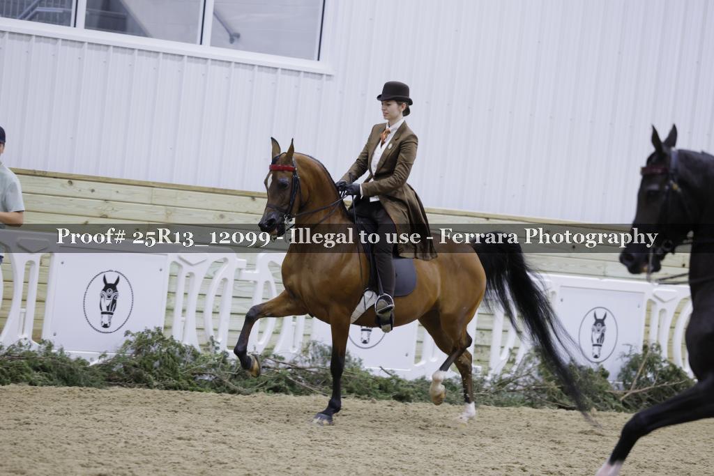 Proof Number 25R13_12099