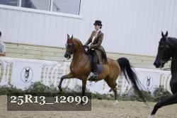 25R13_12099 thumbnail