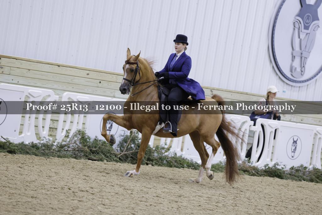 Proof Number 25R13_12100