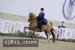 25R13_12100 thumbnail