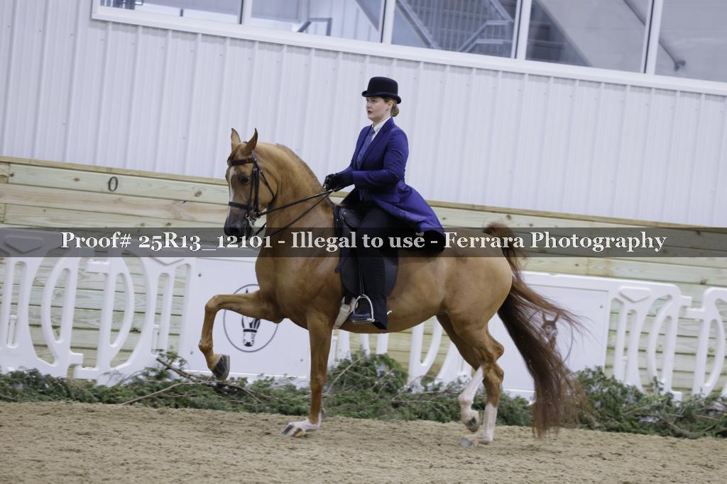 Proof Number 25R13_12101