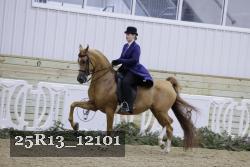 25R13_12101 thumbnail