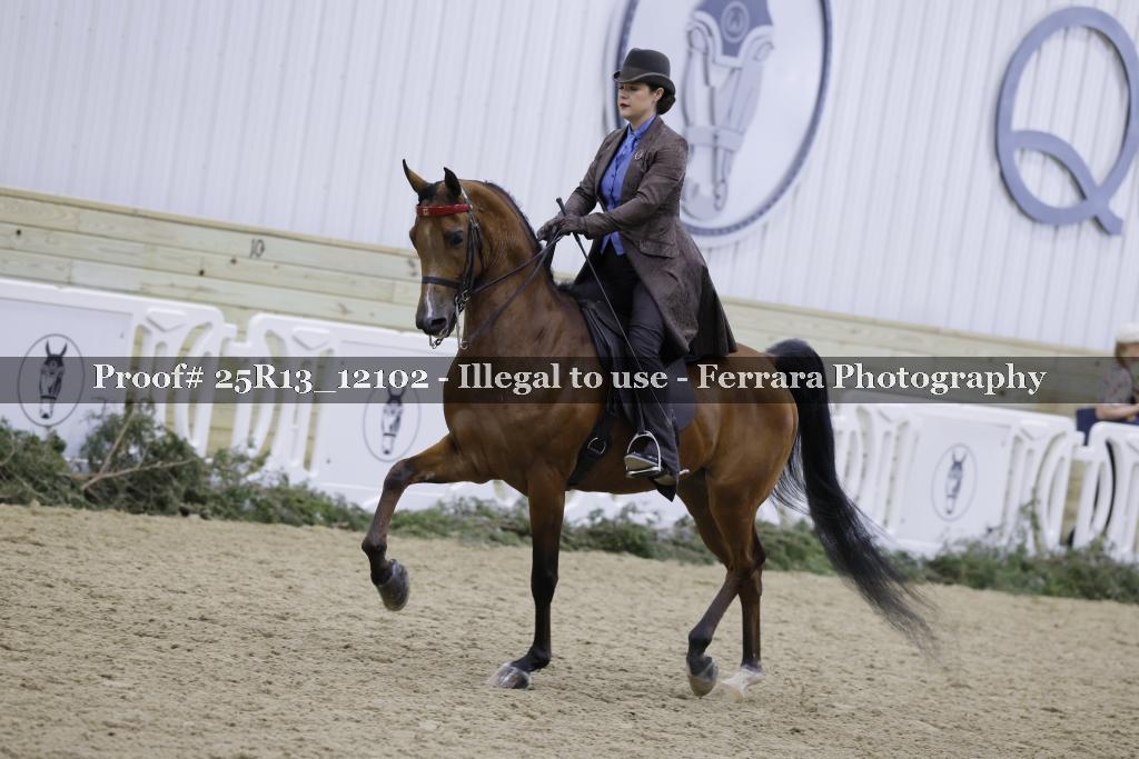 Proof Number 25R13_12102