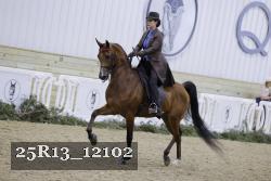 25R13_12102 thumbnail