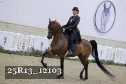 25R13_12103 thumbnail