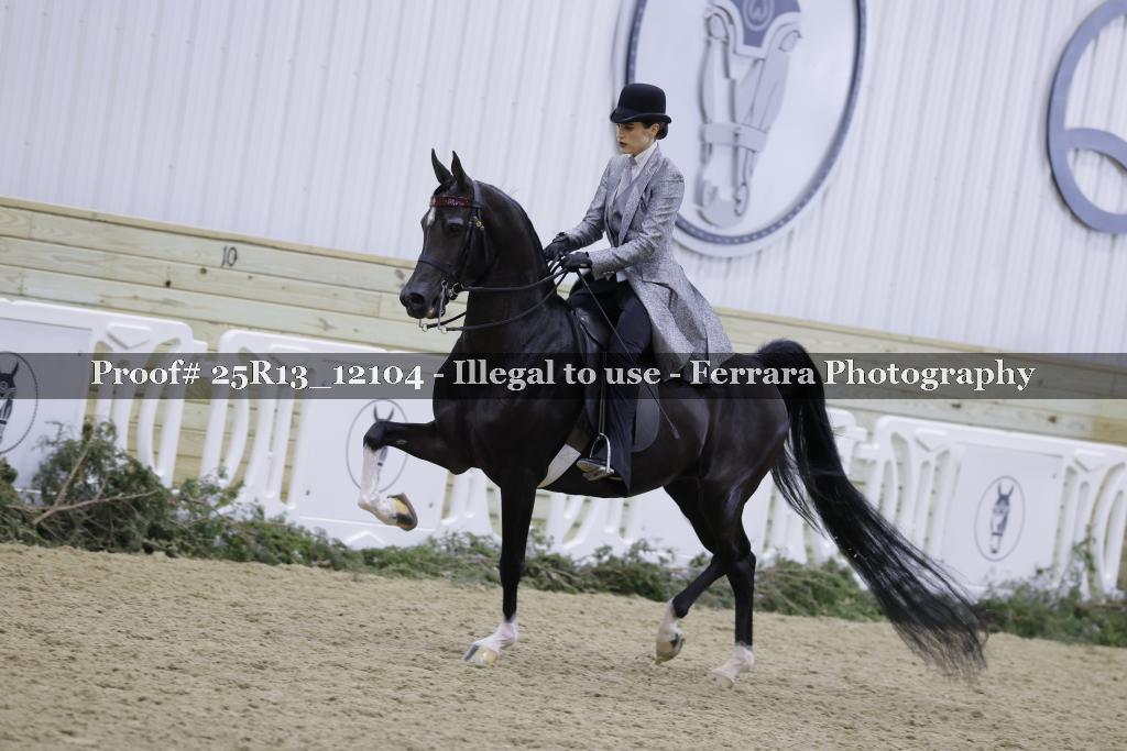 Proof Number 25R13_12104