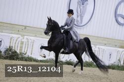 25R13_12104 thumbnail