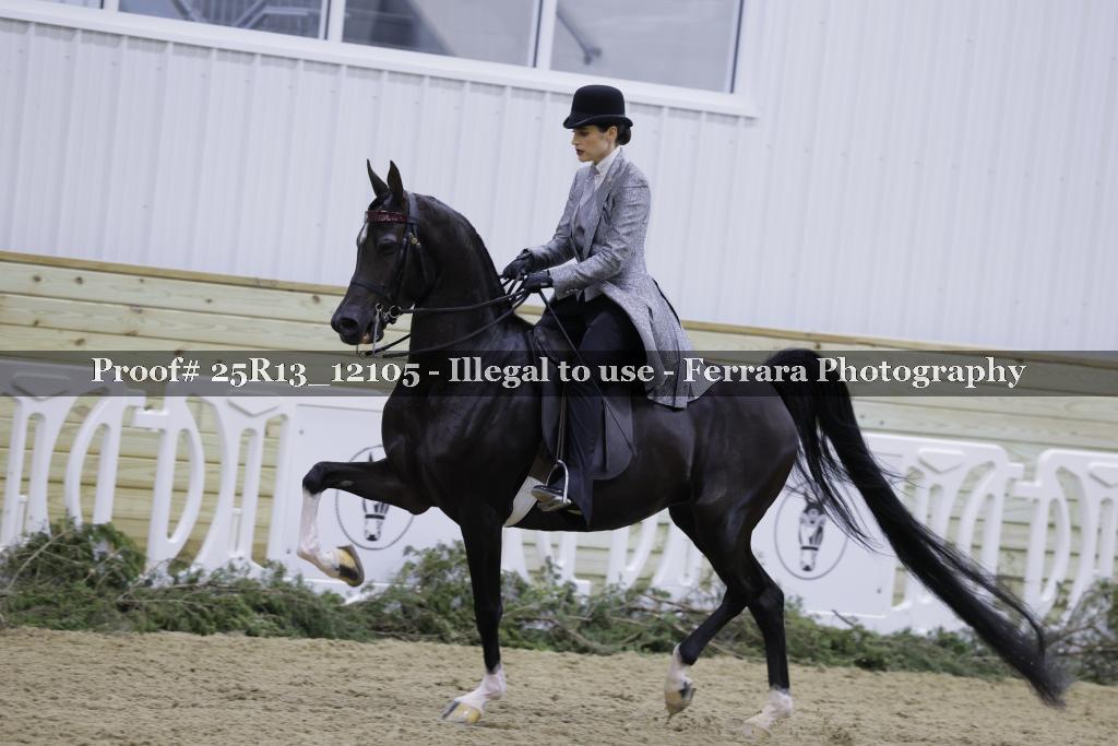 Proof Number 25R13_12105