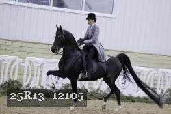 25R13_12105 thumbnail