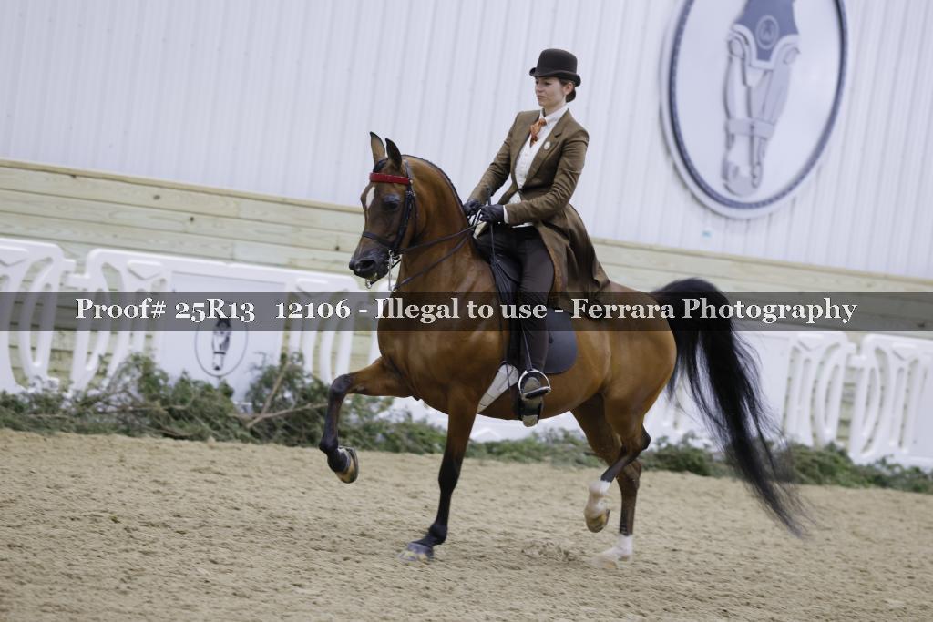 Proof Number 25R13_12106