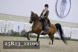 25R13_12106 thumbnail